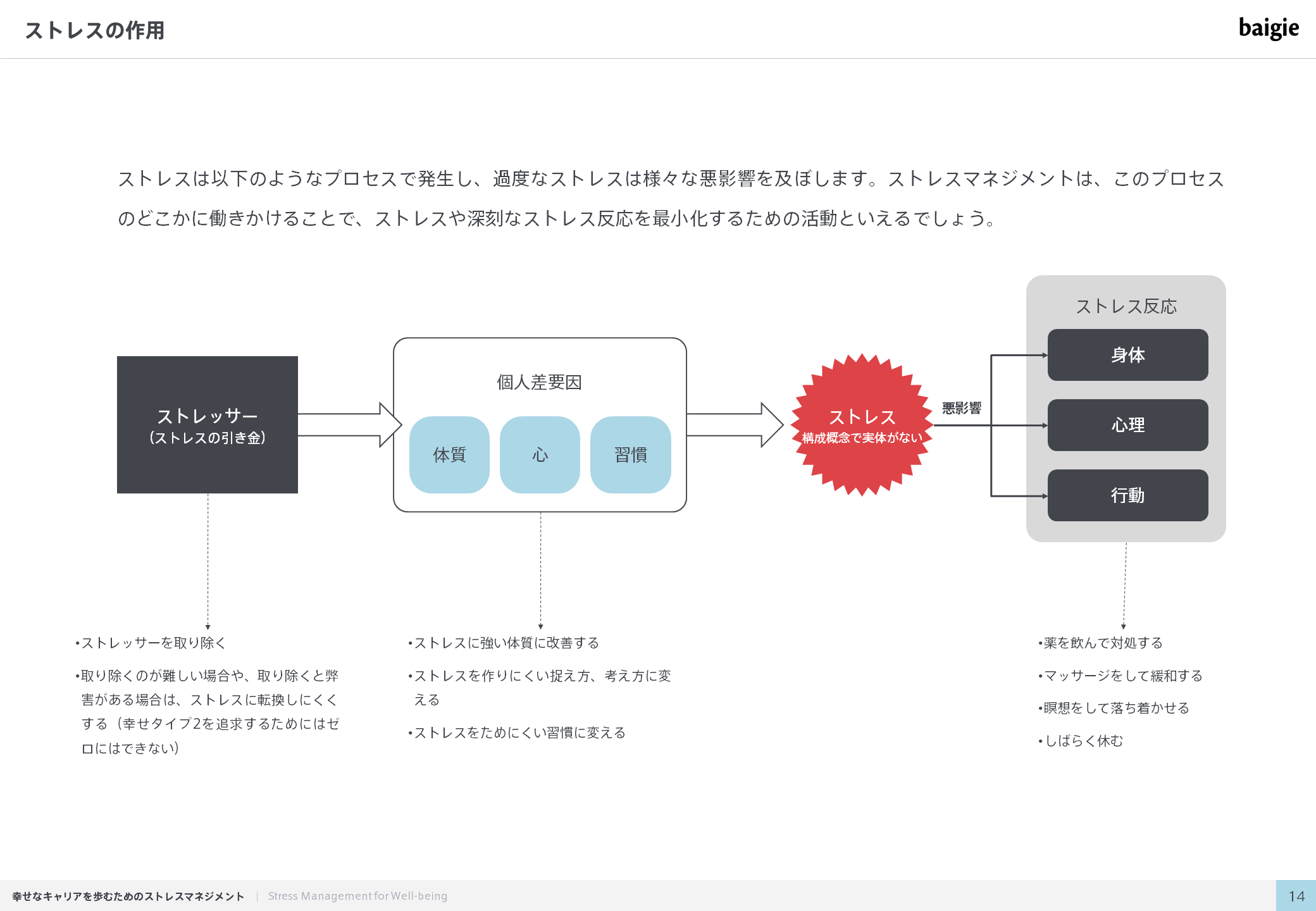 ストレスの作用