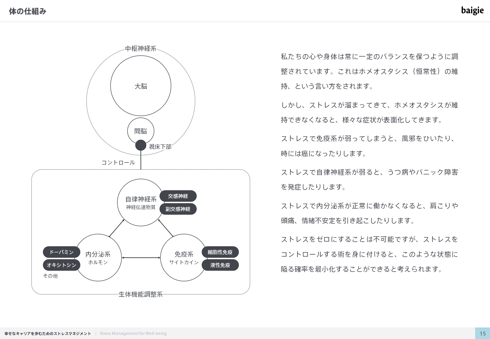 体の仕組み