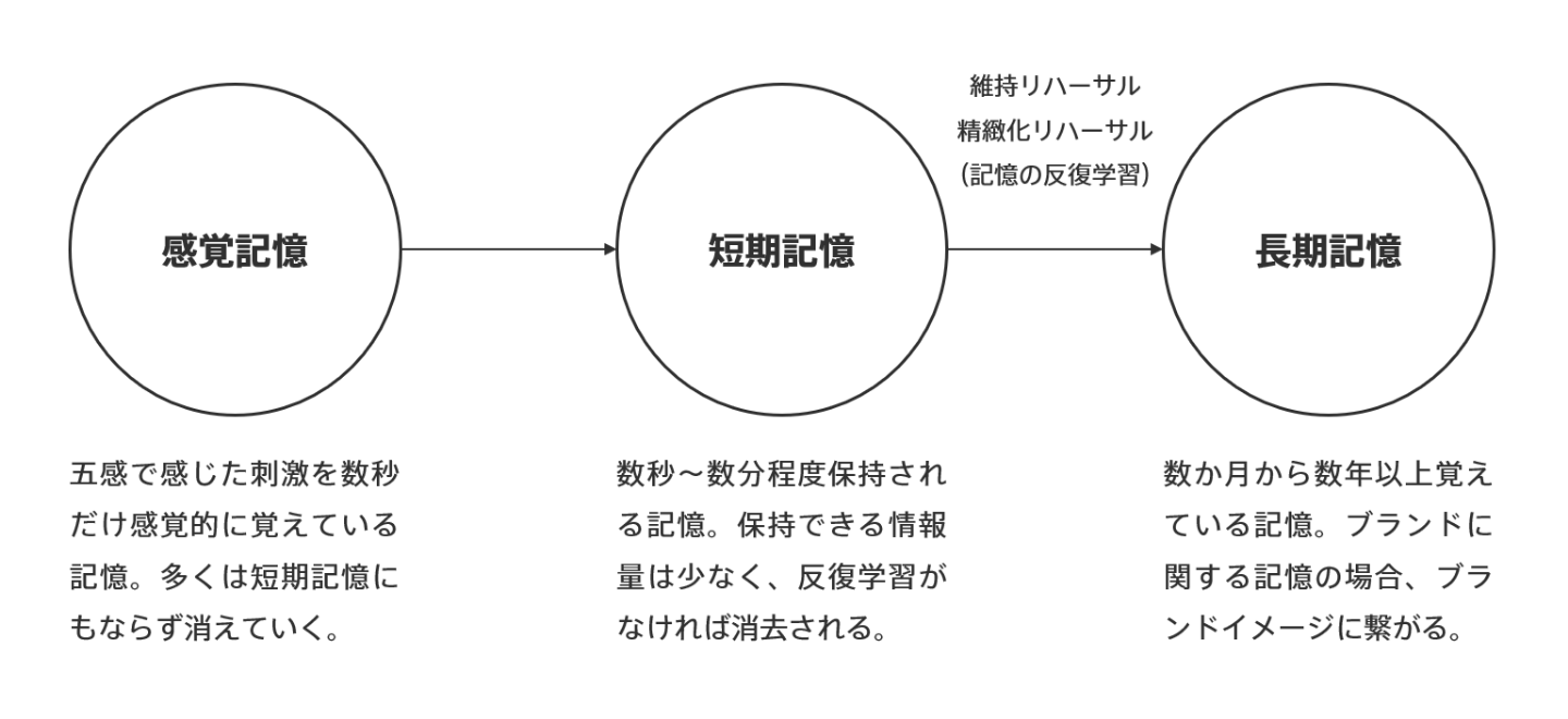 3種類の記憶