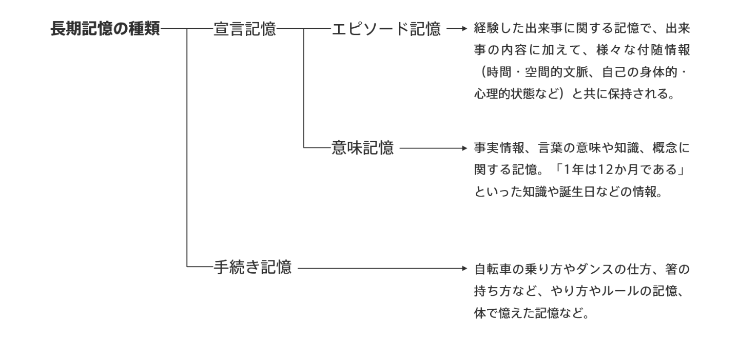 長期記憶の解説